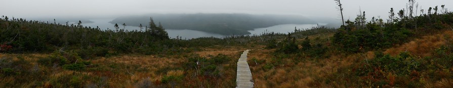 Misty view from Lookout Mountain