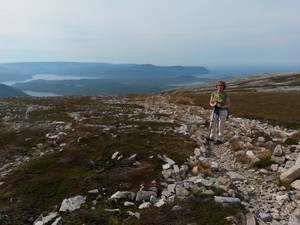 Tundra Teresa
