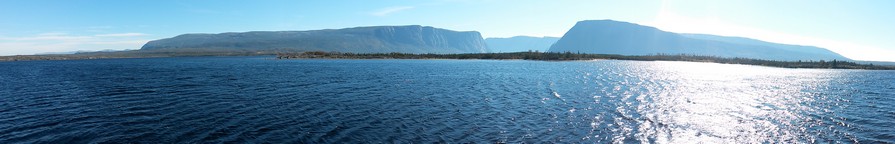 Western Brook Profile