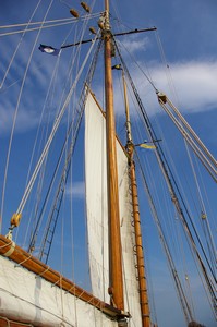 The Virginia