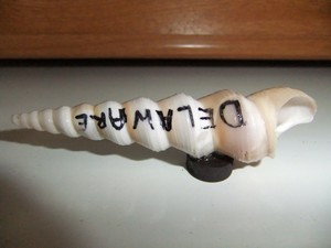 Delaware magnet