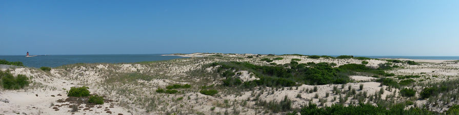 Cape Henlopen