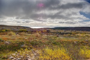 Treeless Coastal Landscape