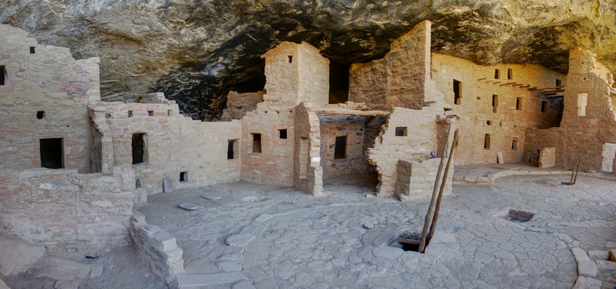 Spruce Tree House Spruce Tree House