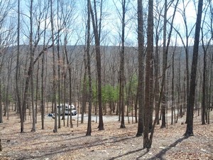 The Pines Campsite, Jefferson National Forest, Virginia
