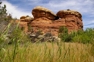 Grassy Big Spring Canyon Grassy Big Spring Canyon