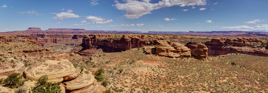 Big Spring Canyon from Slickrock Trail Big Spring Canyon from Slickrock Trail