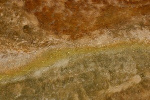 Detail at Jupiter Terrace, Mammoth Hot Springs Detail at Jupiter Terrace, Mammoth Hot Springs