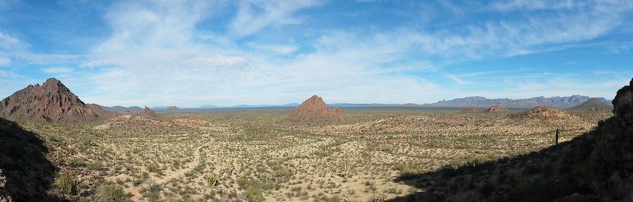 View from Puerto Blanco Mountains
