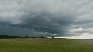 Brewing Storm