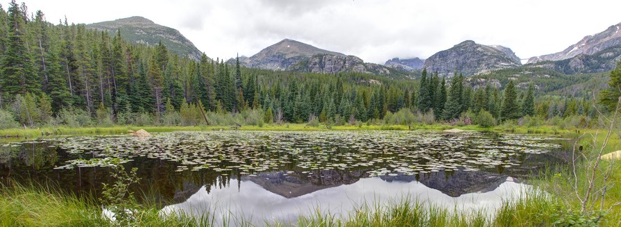 Lily Pond on way to Bear Lake Lily Pond on way to Bear Lake