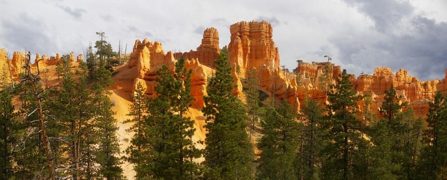Navajo Trail, Bryce Canyon Navajo Trail, Bryce Canyon