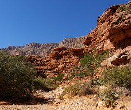 Fantastic Scenery, Rough Underfoot Fantastic Scenery, Rough Underfoot