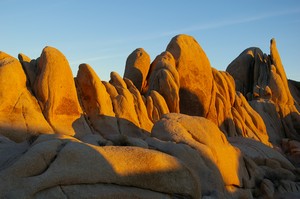 Evening Light at White Tank