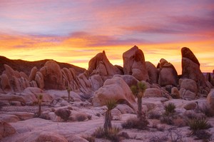 Dawn at White Tank