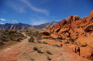 Calico Hills Trail