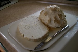 Giant Puffball Mushroom, Highway Springs Campground, Colorado Giant Puffball Mushroom, Highway Springs Campground, Colorado