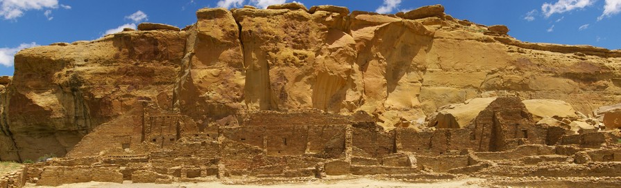 Melding into their Surroundings Melding into their Surroundings