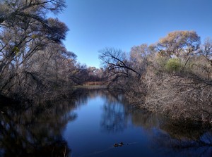 Hasayampa River Preserve