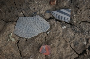 Sherds
