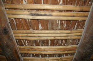 Original Ceiling