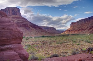 Distant Little Bottom Campground, Utah Distant Little Bottom Campground, Utah