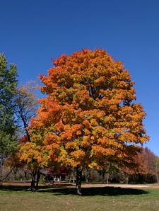 Muskego Park, Wisconsin Muskego Park, Wisconsin
