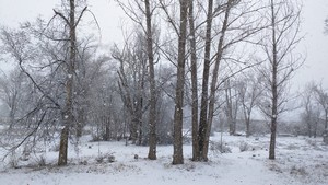 Snow at Aztec Snow at Aztec