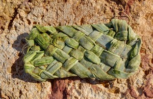 Yucca Sandal Yucca Sandal