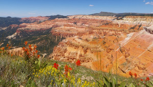 Cedar Breaks National Monument, Utah