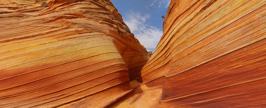 The Wave Side Canyon The Wave Side Canyon
