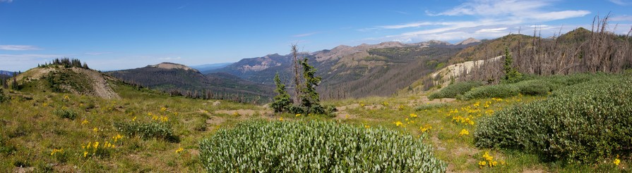 From the Continentail Divide Trail From the Continentail Divide Trail
