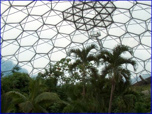 Biome Interior