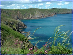 Cornish Coast