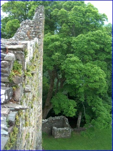 Castle Greenery